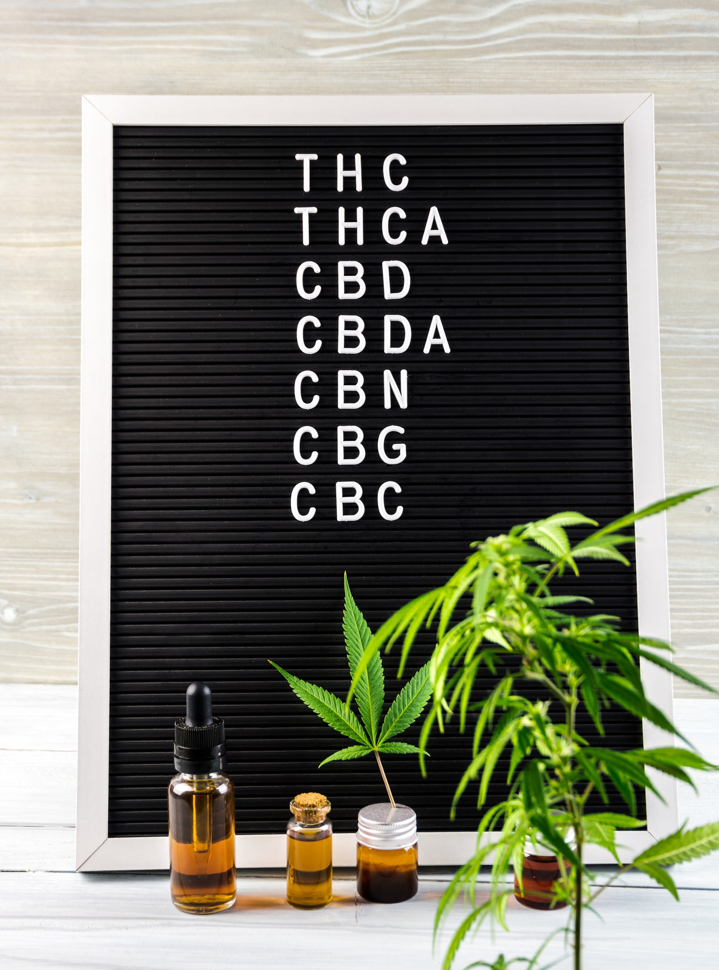 Cannabinoids on letter board Major cannabinoids